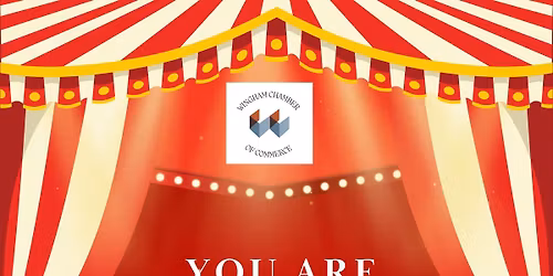 Wingham Christmas Carnival 