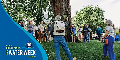 Water Week: City Tree Tour