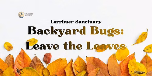 Backyard Bugs: Leave the Leaves