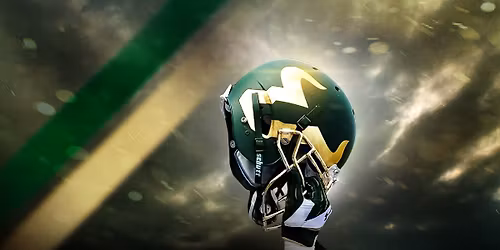 USF Bulls Football v Rice