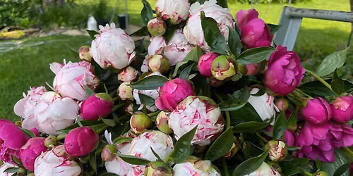 Peony Pop Up! Yoga too!