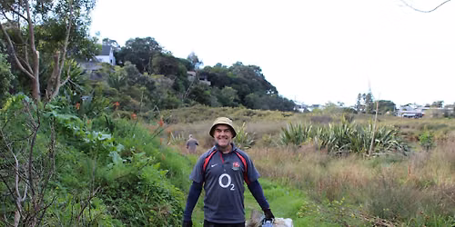 Wairau Estuary Care & Connect