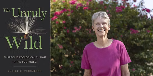 Juliet Stromberg: The Unruly Wild