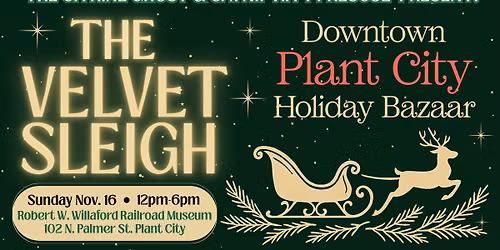 The Velvet Sleigh: Downtown Plant City Holiday Bazaar - Photos with Santa!