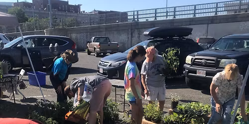 Annual Seedling Exchange
