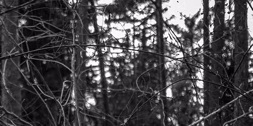 Algoritmus (ne)bezpe\u010d\u00ed | Mysl\u00edm, tedy AI? 3\/4