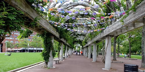 Parking Shen Yun - Columbus
