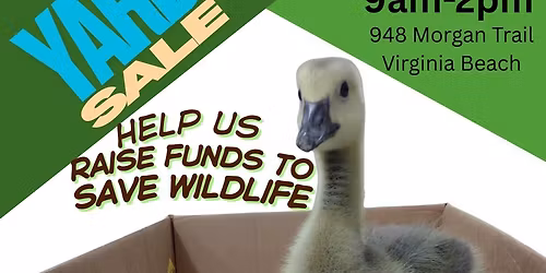 Yard Sale to Benefit Wildlife
