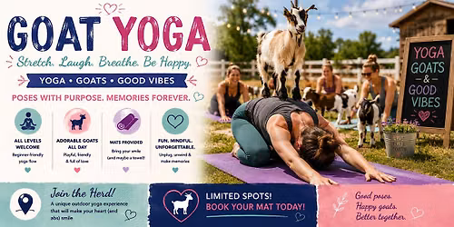 Goat Yoga in Toronto