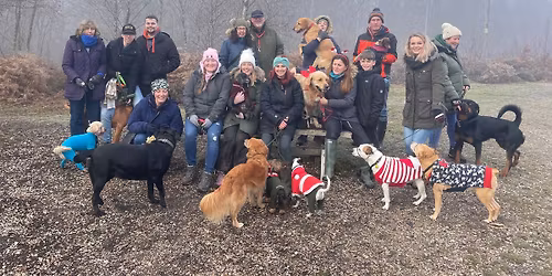 Jurassic Bark Christmas Pack Walk Bristol