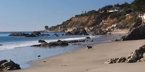 Free Paint Out-LECHUZA Beach