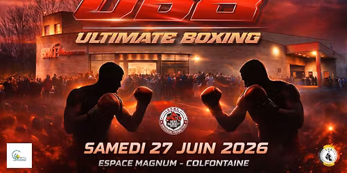 ULTIMATE BOXING 8