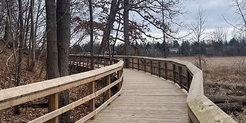 Sunset Hike \u2013 Rattray Marsh Loop (8 km)