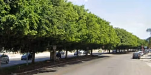 Assemblea civica per la cura e la tutela del verde .Verso un Forum\/Consulta del verde.