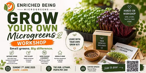 Grow Your Own Microgreens Workshop  | Perth