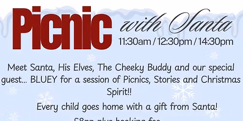 Picnic with Santa at Bilbrook Village Hall