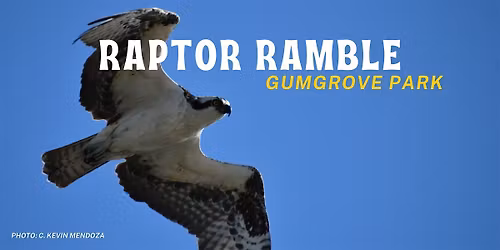 Los Cerritos Wetlands Nature Walk : Gumgrove Park Raptor Ramble