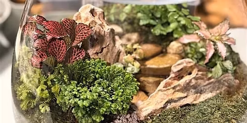 TROPICAL TERRARIUM WORKSHOP