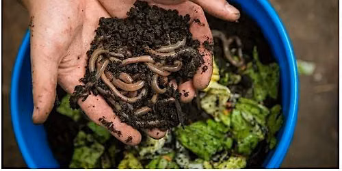 Vermicomposting with Cobb Extension