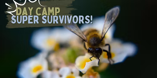 Day Camp \u2013 Super Survivors (ages 7 to 9)