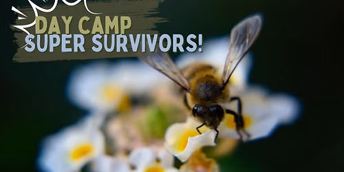 Day Camp \u2013 Super Survivors (ages 7 to 9)