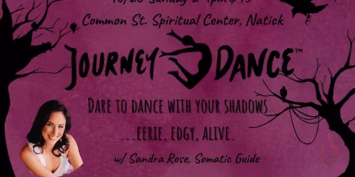JourneyDance\u2122: Dare to Dance with Your Shadows