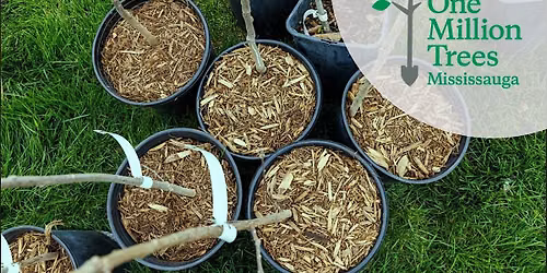 Residential Tree Giveaway