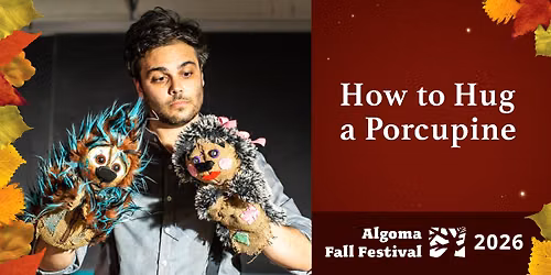 How To Hug a Porcupine