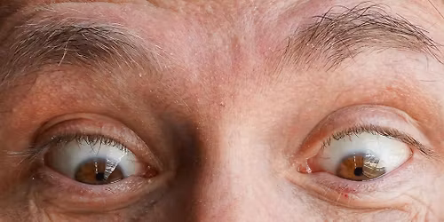 Dale's Epic Trivia at Dunedin Brewery