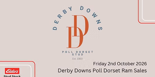 Derby Downs Poll Dorset Annual Ram Sale