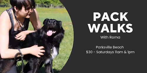 Pack Walk - Trainer Led