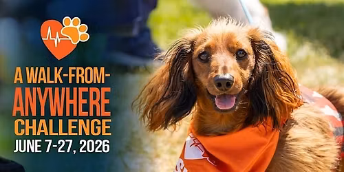 PAWSwalk Kickoff Festival