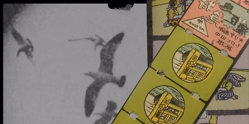 The Japanese Film Paper Project