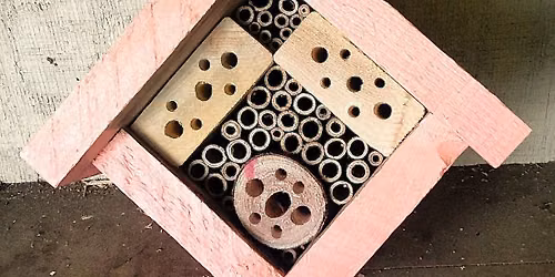 Build A Bee Hotel