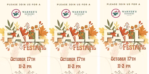 Fall Festival