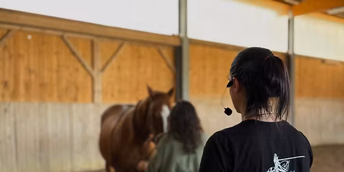 Train the Trainer in der Reitschule Neuental 