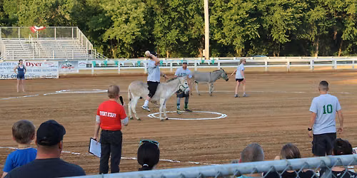 Donkey Ball