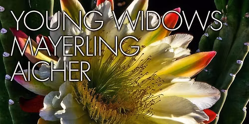 YOUNG WIDOWS + MAYERLING + AICHER
