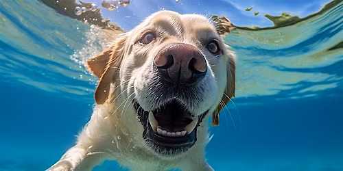 Excelist Law - Deeper Dive Series