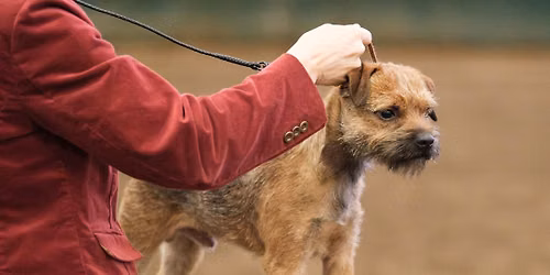 IABCA's 2026 Heart of America Sieger Int'l All-Breed & Rare Breed DOG SHOW