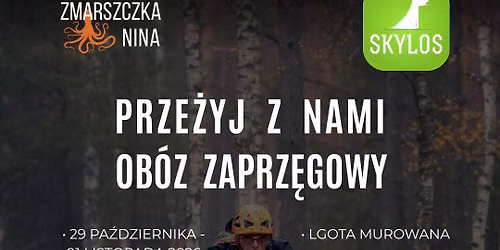 Ob\u00f3z ze SKYLOSEM: Psie zaprz\u0119gi z treningiem funkcjonalnym - na ka\u017cdym poziomie zaawansowania