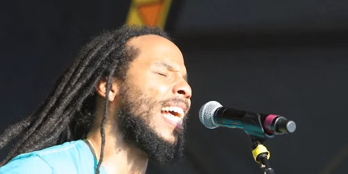Ziggy Marley - Pre-Show Party at Illinois State Fairgrounds