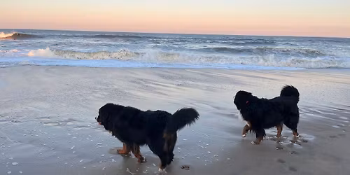 BERNER BEACH FUN 