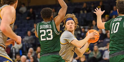 Lawrence Vikings at St. Thomas Tommies Mens Basketball