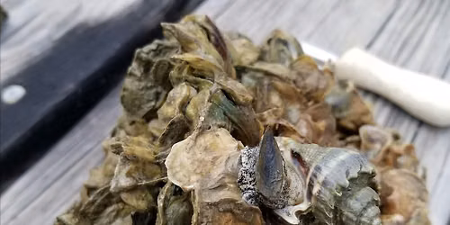 Apalachicola Bay Oysters