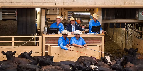 Hall of Fame Sale & Auctioneer Showcase