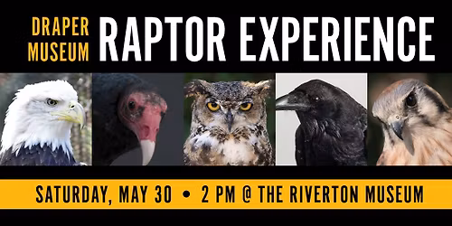 Raptor Experience at the Riverton Museum