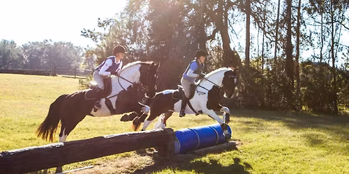 Thanksgiving Hunter Pace!