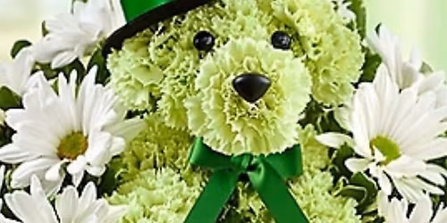 St Patrick\u2019s Day Puppy Floral arrangement class\/Fundraiser for the Clark County SPCA