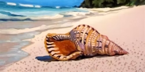 Beach Shell